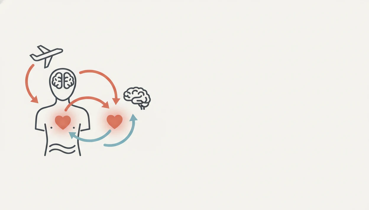 A clean diagram shows an airplane cue, brain, heartbeat, and breathing loop for flight anxiety.